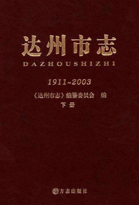 达州市志1911-2003 下册.pdf电子版_四川省志缩略图