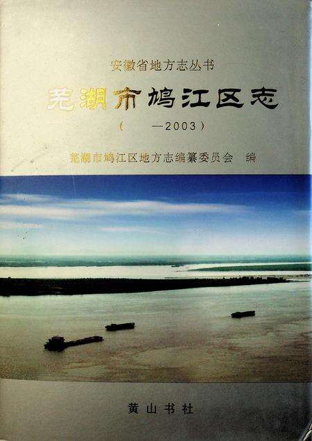 芜湖市鸠江区志（-2003）.pdf电子版_安徽省志缩略图