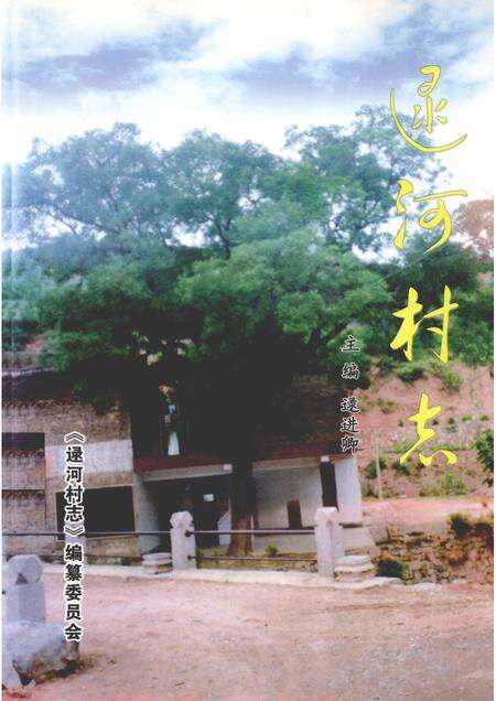 逯河村志.pdf电子版_山西省志缩略图