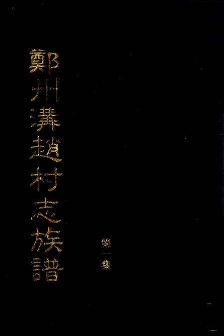 郑州沟赵村志族谱  第1集.pdf电子版_河南省志缩略图