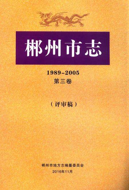 郴州市志1989-2005第三卷（评审稿）.pdf电子版_湖南省志缩略图