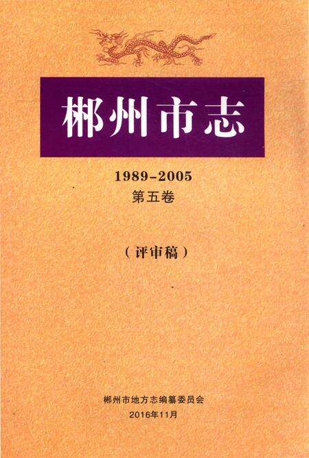 郴州市志1989-2005第五卷（评审稿）.pdf电子版_湖南省志缩略图