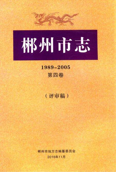 郴州市志1989-2005第四卷（评审稿）.pdf电子版_湖南省志缩略图