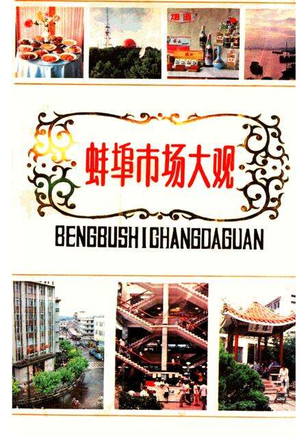 蚌埠市场大观.pdf电子版_安徽省志缩略图