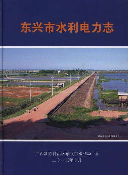 东兴市水利电力志.pdf电子版_广西壮族自治区志缩略图