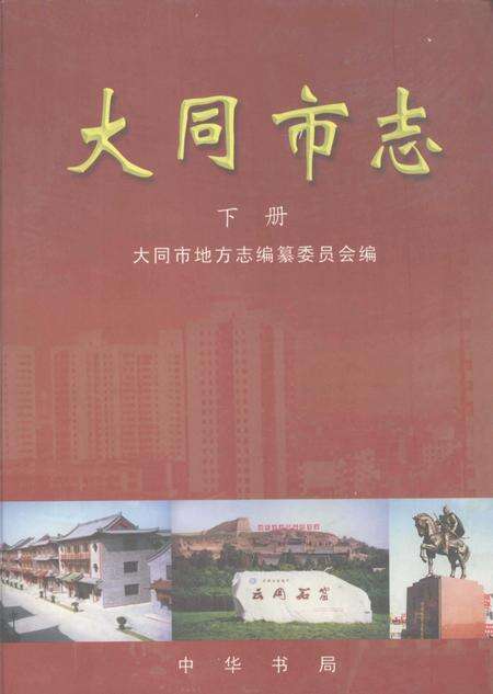2000-大同市志  下.pdf电子版_山西省志缩略图