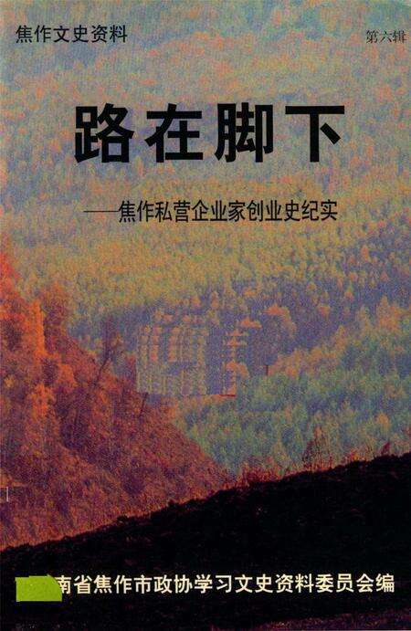 路在脚下——焦作私营企业家创业史纪实.pdf电子版_河南省志缩略图