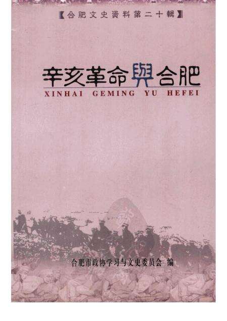 辛亥革命与合肥  第20辑.pdf电子版_安徽省志缩略图