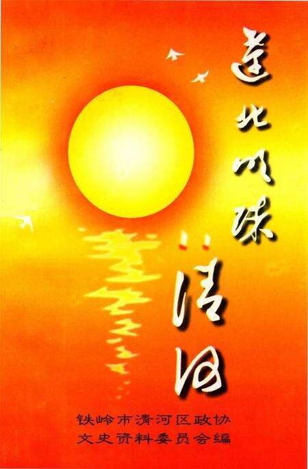 辽北明珠——清河  清和文史资料第四辑.pdf电子版_辽宁省志缩略图