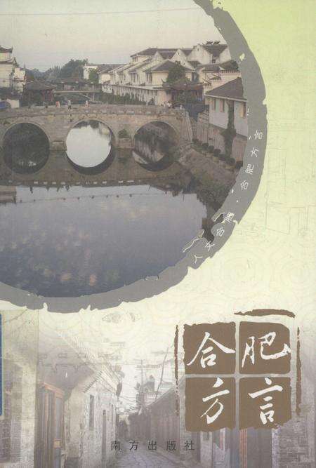 2008版合肥方言.pdf电子版_安徽省志缩略图