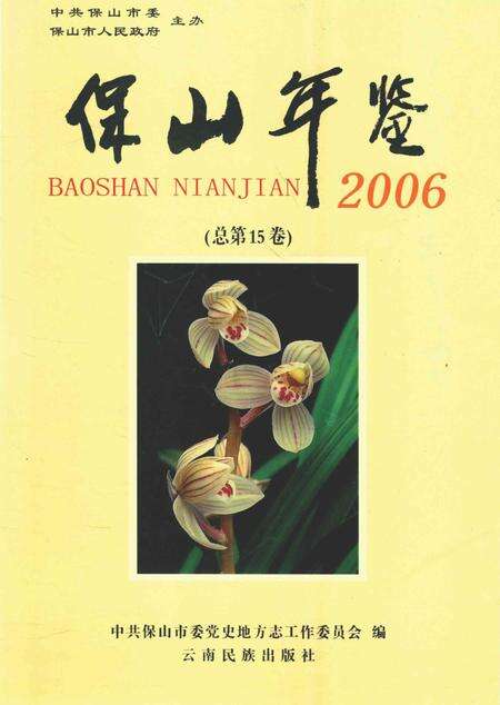 保山年鉴.2006.pdf电子版_云南省志缩略图