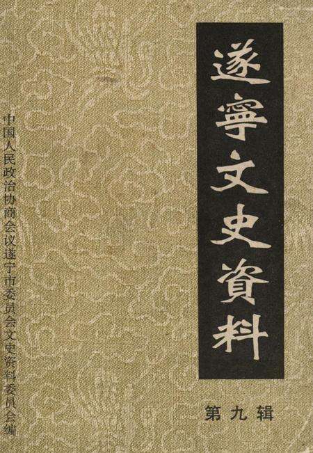 遂宁文史资料第九辑.pdf电子版_四川省志缩略图