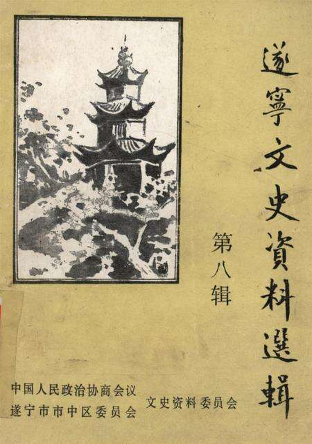 遂宁文史资料选辑第八辑.pdf电子版_四川省志缩略图