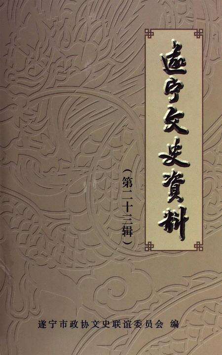 遂宁文史资料（第二十三辑）.pdf电子版_四川省志缩略图
