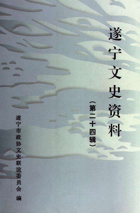 遂宁文史资料（第二十四辑）.pdf电子版_四川省志缩略图