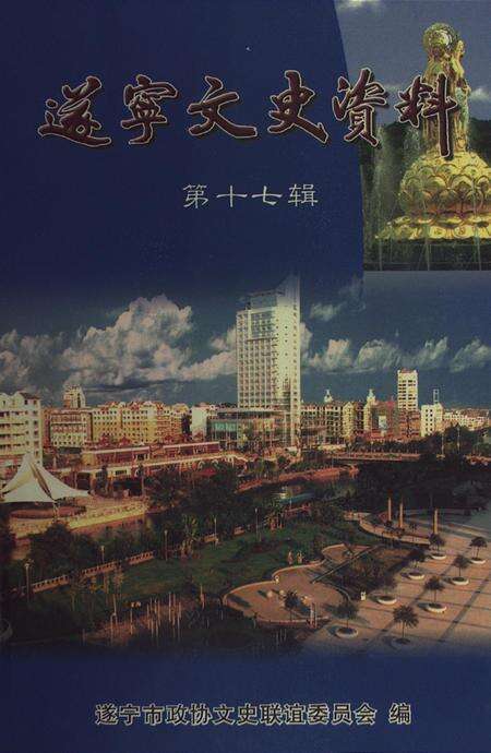 遂宁文史资料（第十七辑).pdf电子版_四川省志缩略图