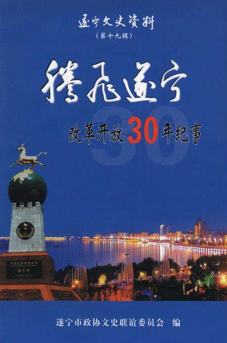 遂宁文史资料（第十九辑）腾飞遂宁改革开放30年纪事.pdf电子版_四川省志缩略图