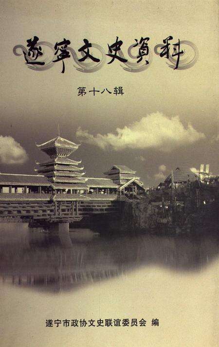 遂宁文史资料（第十八辑）.pdf电子版_四川省志缩略图