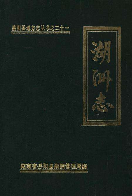 岳阳县湖洲志.pdf电子版_湖南省志缩略图