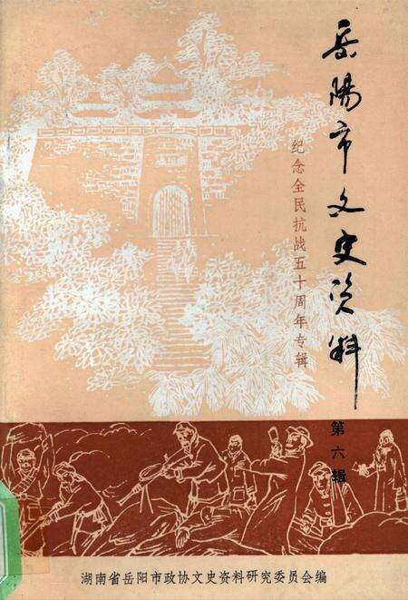 岳阳市文史资料第六辑.pdf电子版_湖南省志缩略图
