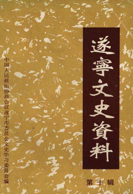 遂宁文史资料（第十辑）.pdf电子版_四川省志缩略图