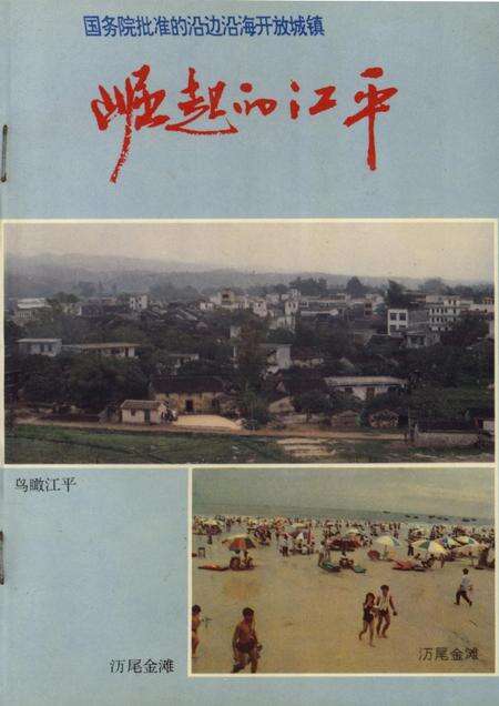 崛起的江平.pdf电子版_广西壮族自治区志缩略图