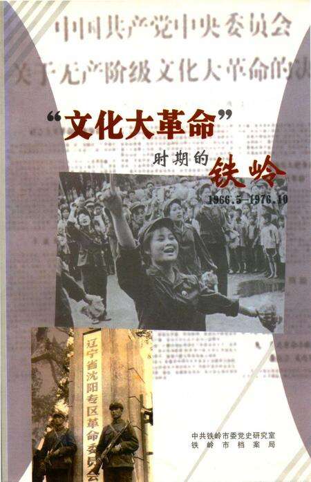 文化大革命时期的铁岭.pdf电子版_辽宁省志缩略图