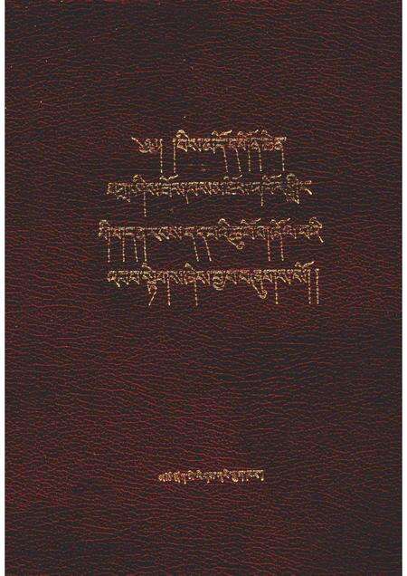 文都寺志  藏文.pdf电子版_青海省志缩略图