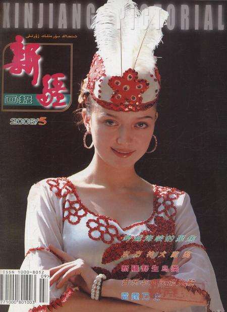 新疆画报2006年第05期.pdf电子版_新疆维吾尔族自治区志缩略图