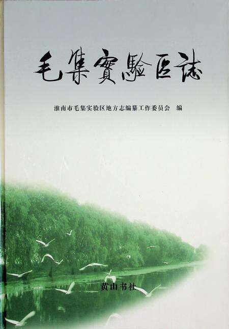 毛集实验区志.pdf电子版_安徽省志缩略图