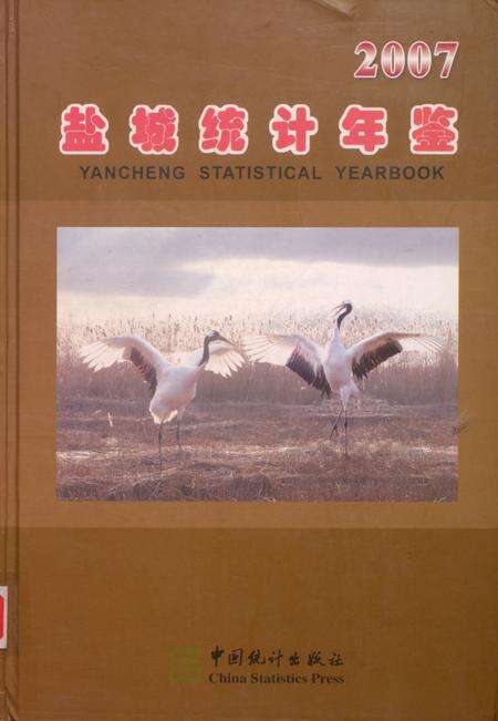 盐城统计年鉴 2007.pdf电子版_江苏省志缩略图