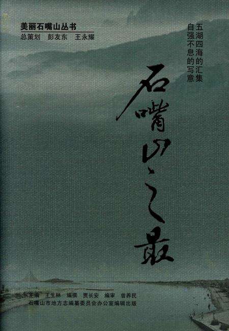 石嘴山之最.pdf电子版_宁夏回族自治区志缩略图