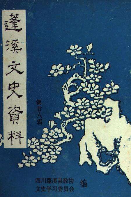 蓬溪文史资料（第廿八辑）.pdf电子版_四川省志缩略图