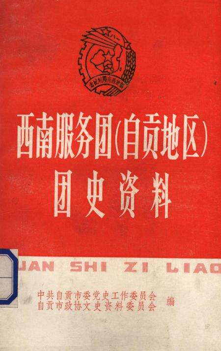 西南服务团（自贡地区）团史资料.pdf电子版_四川省志缩略图
