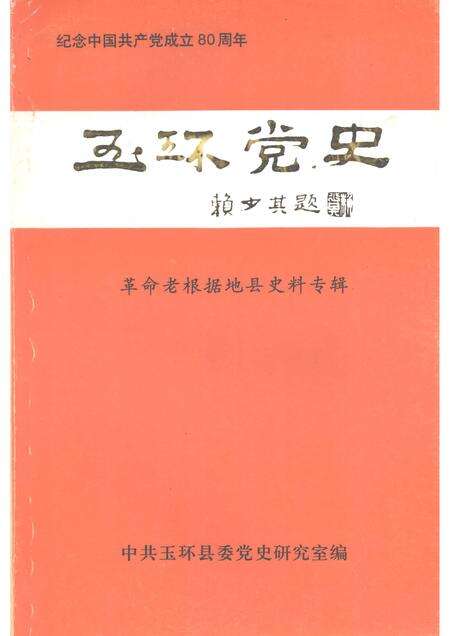 -玉环党史  革命老根据地县史料专辑  纪念中国共产党成立80周年.pdf电子版_浙江省志缩略图
