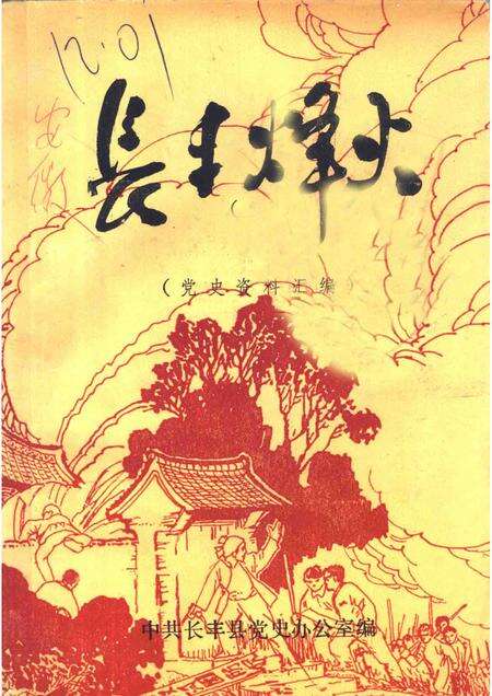 长丰烽火  党史资料汇编.pdf电子版_安徽省志缩略图