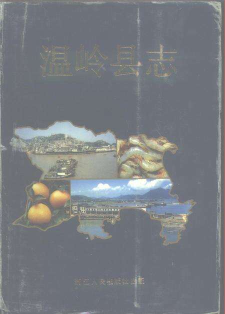 1992-温岭县志.pdf电子版_浙江省志缩略图