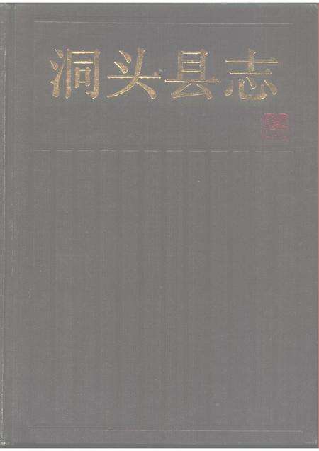 1993-洞头县志.pdf电子版_浙江省志缩略图