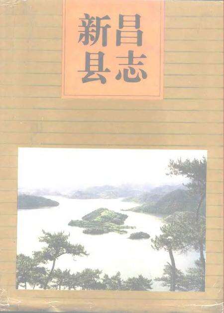 1994-新昌县志.pdf电子版_浙江省志缩略图
