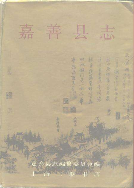 1995-嘉善县志.pdf电子版_浙江省志缩略图