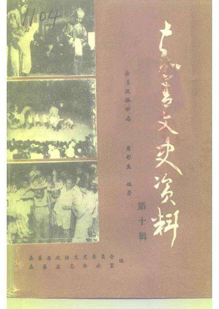 1995-嘉善文史资料  第10辑  嘉善风俗小志.pdf电子版_浙江省志缩略图