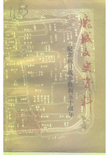 1995-鹿城文史资料  第9辑  纪念抗日战争胜利五十周年特辑  经济、文教  人物、建筑、综合.pdf电子版_浙江省志缩略图