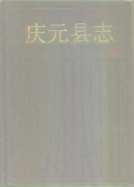 1996-庆元县志.pdf电子版_浙江省志缩略图