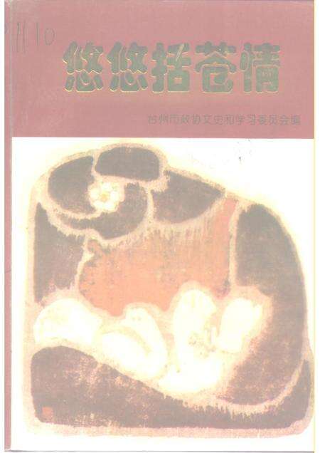 1997-台州文史资料  第2辑  悠悠括苍情.pdf电子版_浙江省志缩略图