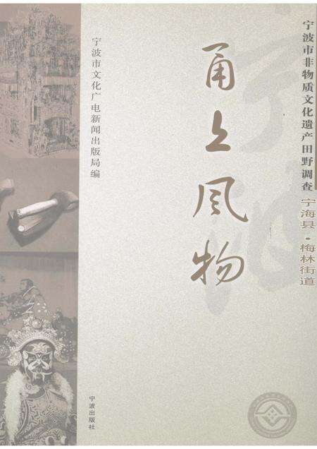 2008-甬上风物：宁波市非物质文化遗产田野调查  宁海县·梅林街道.pdf电子版_浙江省志缩略图