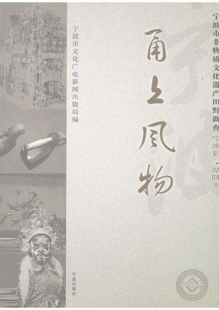 2008-甬上风物：宁波市非物质文化遗产田野调查  宁海县·胡陈乡.pdf电子版_浙江省志缩略图