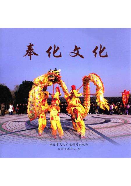 2009-奉化文化.pdf电子版_浙江省志缩略图