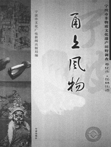 2009-甬上风物  宁波市非物质文化遗产田野调查  奉化市·岳林街道.pdf电子版_浙江省志缩略图