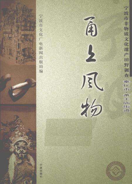 2009-甬上风物  宁波市非物质文化遗产田野调查  奉化市·萧王庙街道.pdf电子版_浙江省志缩略图