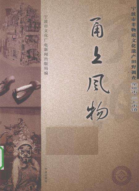 2010-甬上风物  宁波市非物质文化遗产田野调查  余姚市·三七市镇.pdf电子版_浙江省志缩略图